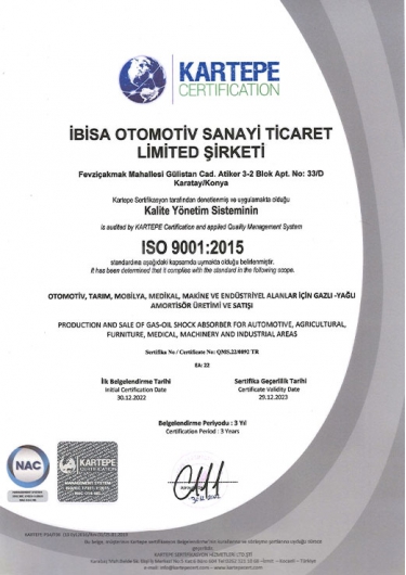 ISO 9001